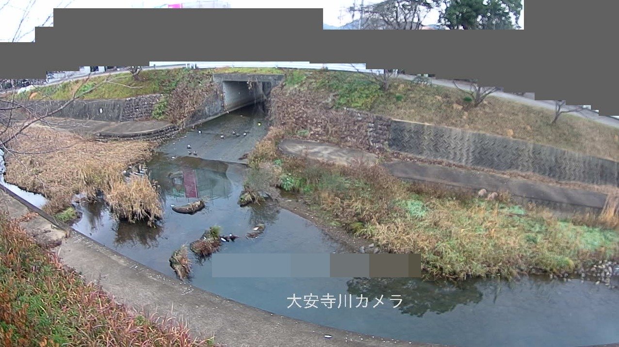 大安寺川鵜沼古市場町ライブカメラ(岐阜県各務原市鵜沼古市場町)