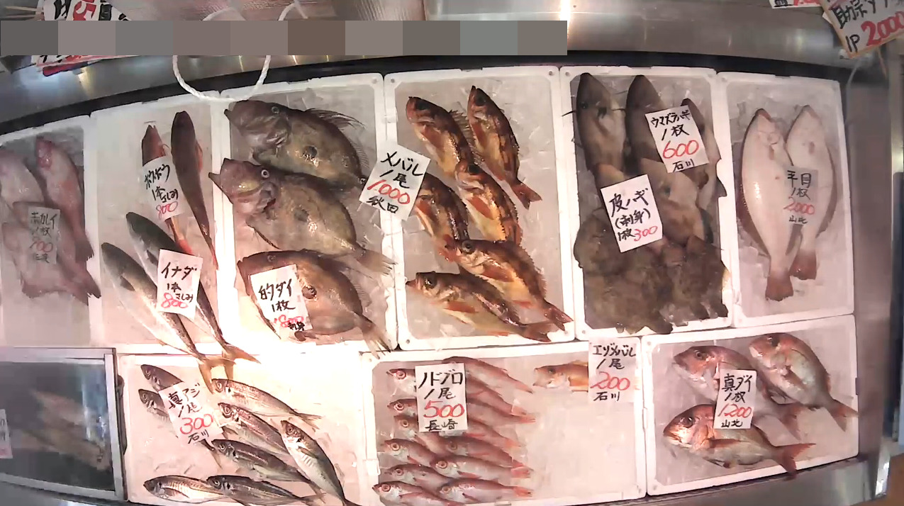 磯貝鮮魚店第4ライブカメラ(新潟県糸魚川市能生小泊)