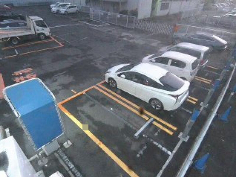 NTTルパルク海老名第1駐車場ライブカメラ(神奈川県海老名市中央)