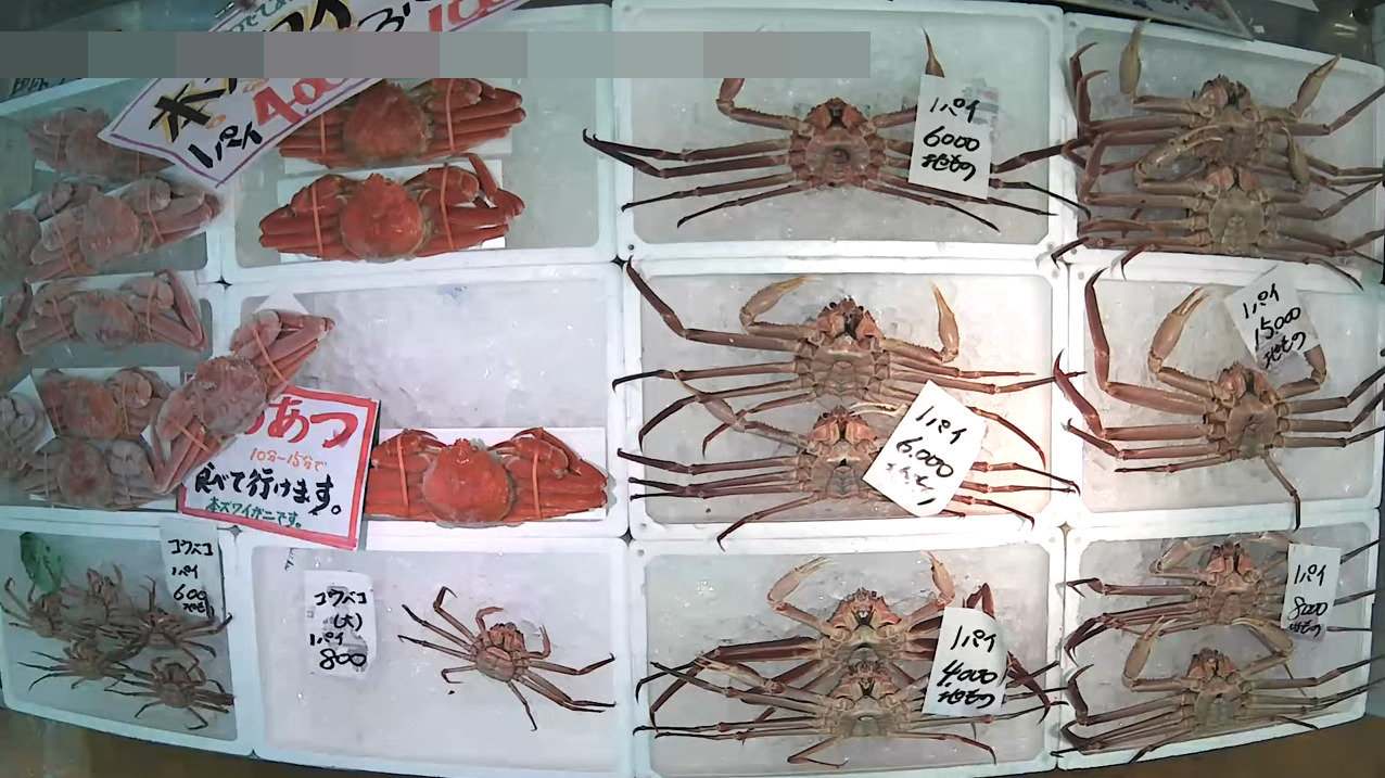 磯貝鮮魚店第2ライブカメラ(新潟県糸魚川市能生小泊)