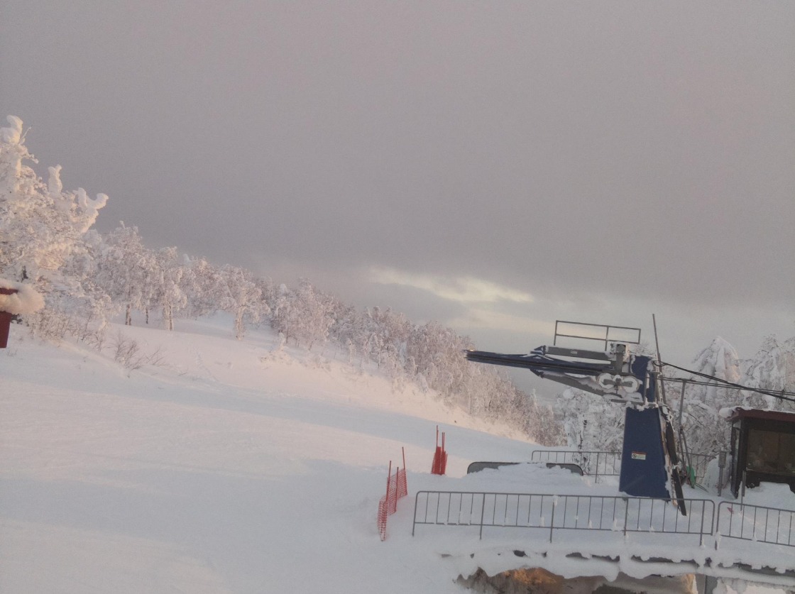 カムイスキーリンクス山頂ライブカメラ(北海道旭川市神居町西丘)