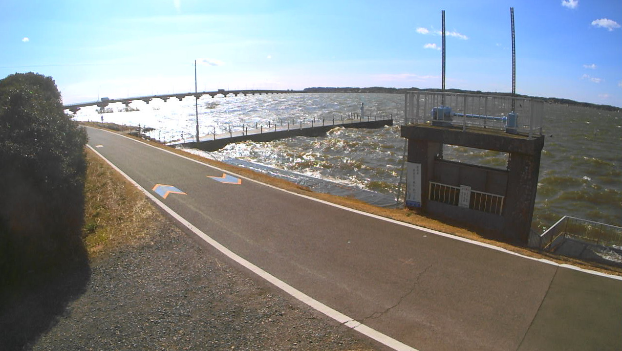 霞ヶ浦西浦19.49KP左岸ライブカメラ(茨城県行方市玉造甲)