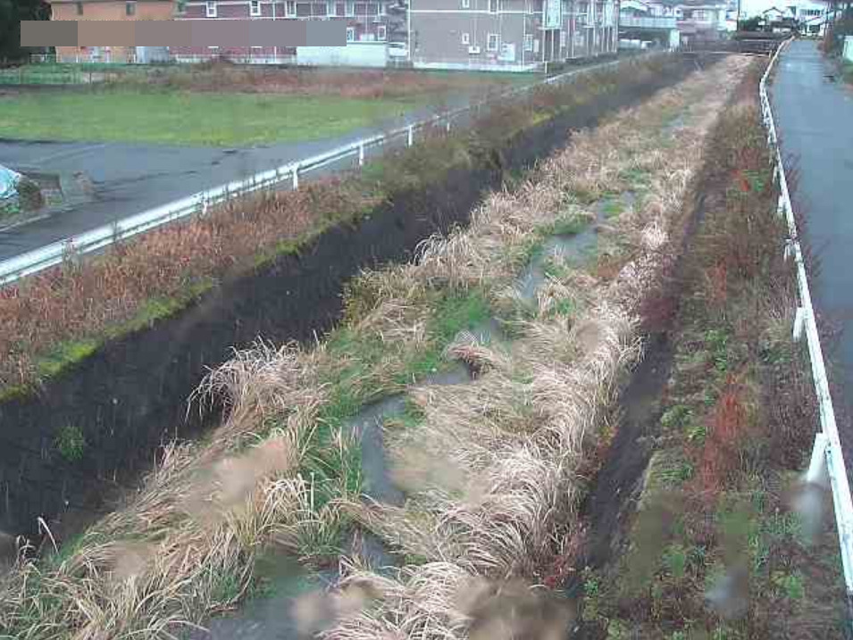 北田川福庭ライブカメラ(鳥取県倉吉市福庭)