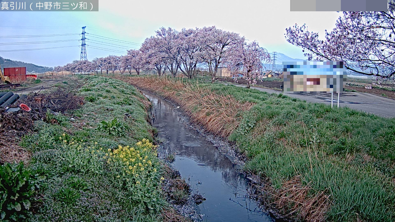 真引川三ツ和大橋ライブカメラ(長野県中野市三ツ和)