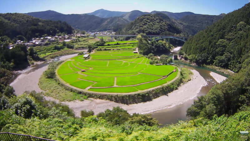 あらぎ島ライブカメラ(和歌山県有田川町三田)