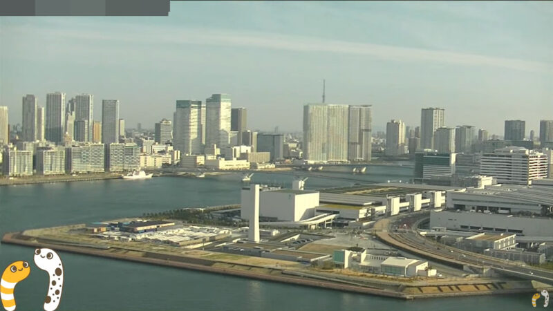 ちんあな豊洲市場ライブカメラ(東京都港区台場)