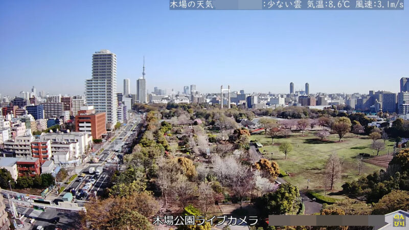 木場公園ライブカメラ(東京都江東区木場)