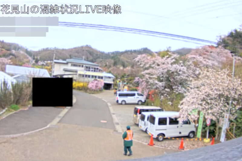 花見山公園混雑状況ライブカメラ(福島県福島市渡利)