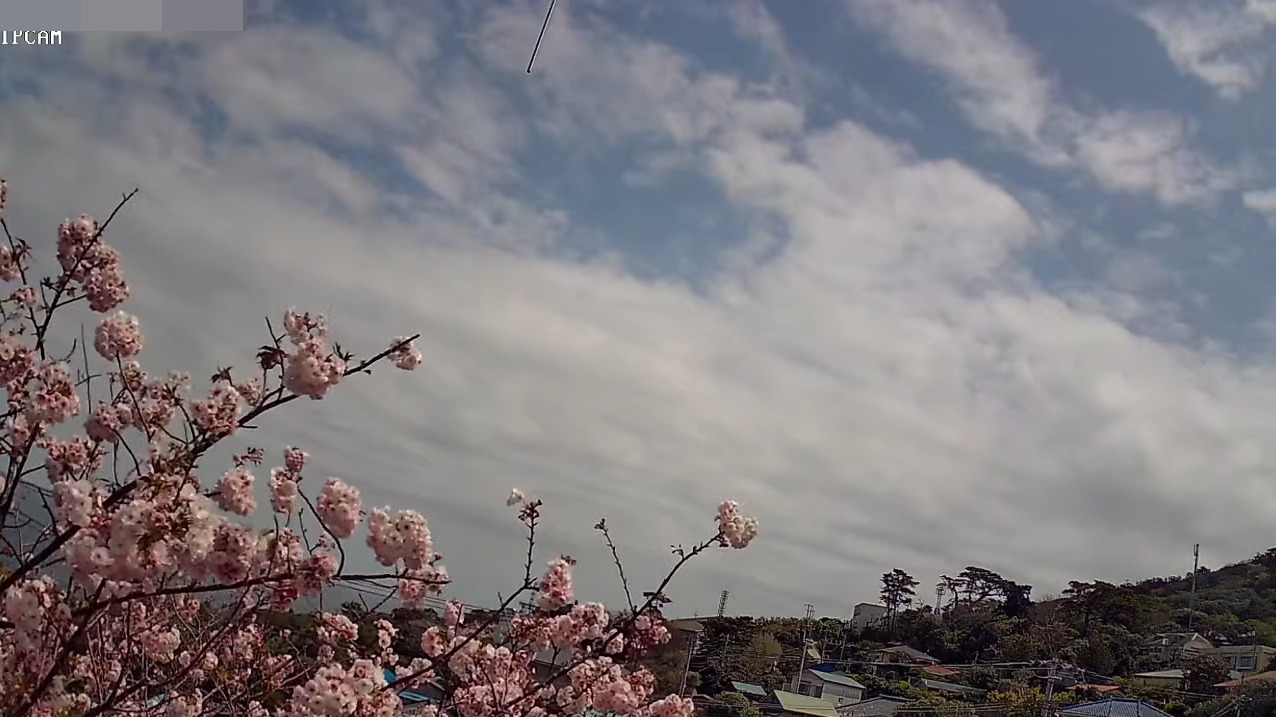 利島村ライブカメラ(東京都利島村)