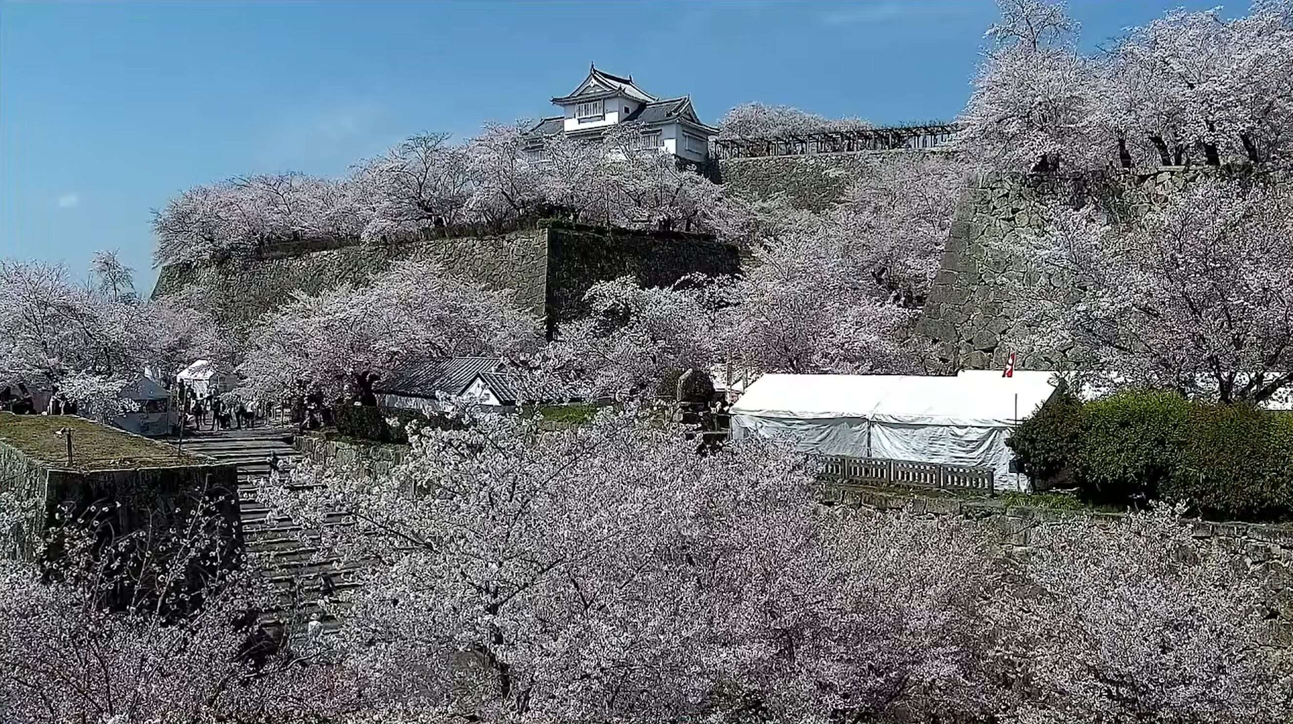 津山城鶴山公園ライブカメラ(岡山県津山市山下)