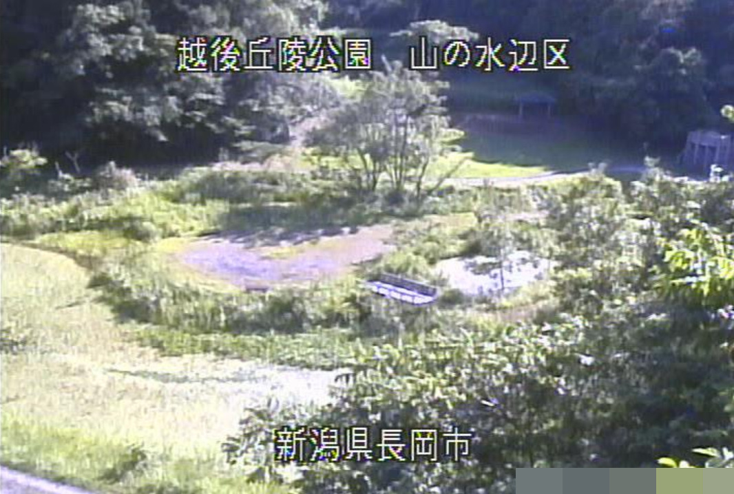 越後丘陵公園山の水辺区ライブカメラ(新潟県長岡市親沢町)