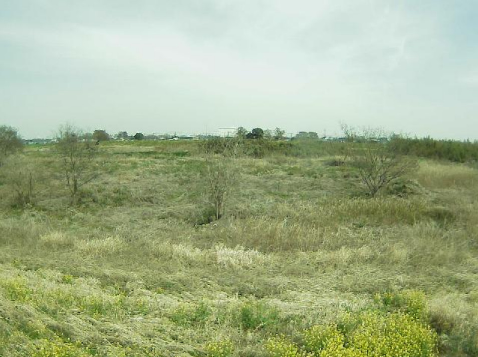 入間川11.0KP左岸ライブカメラ(埼玉県川越市平塚)