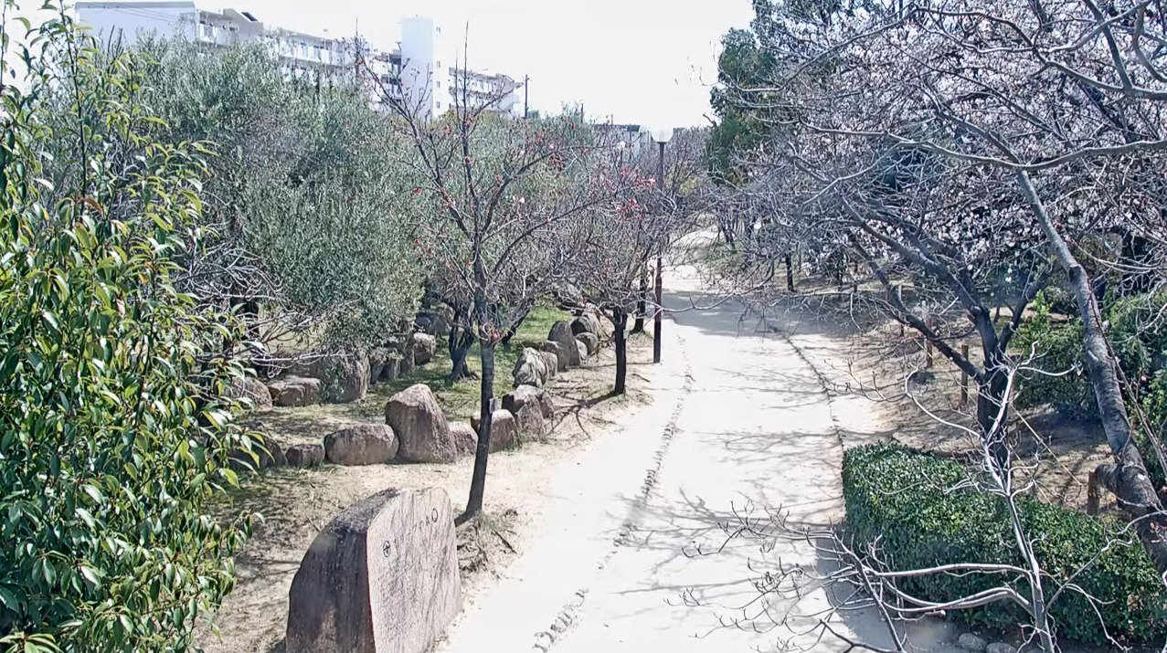 元茨木川緑地第2ライブカメラ(大阪府茨木市東奈良)