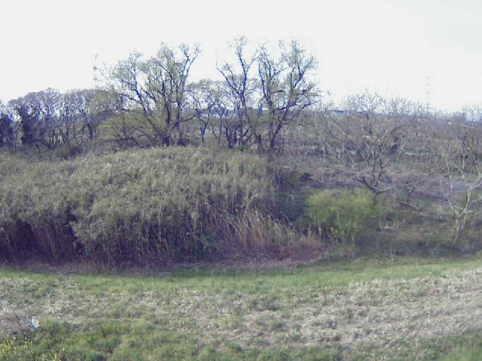 越辺川10.4KPライブカメラ(埼玉県東松山市田木)