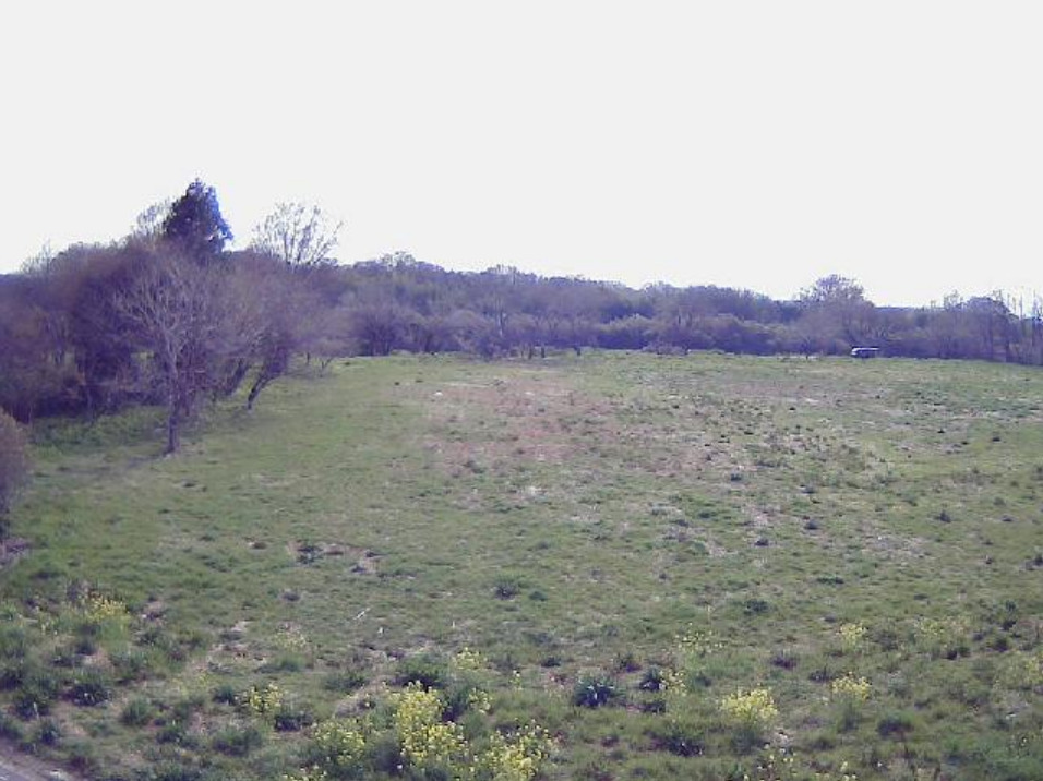 越辺川1.2KP左岸ライブカメラ(埼玉県川島町上伊草)