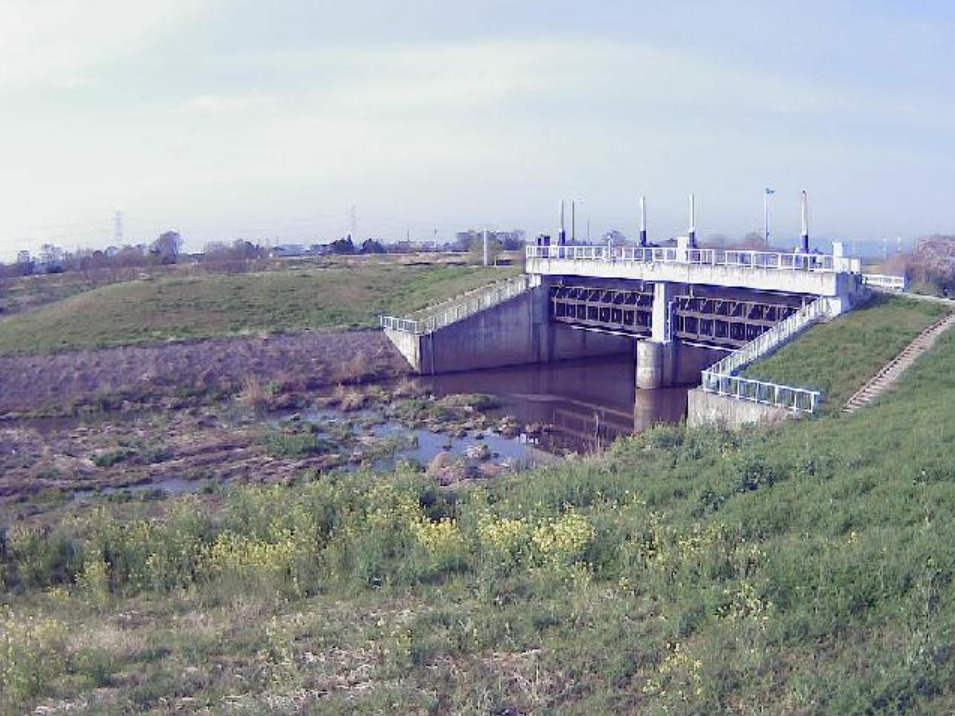越辺川7.5KPライブカメラ(埼玉県東松山市正代)