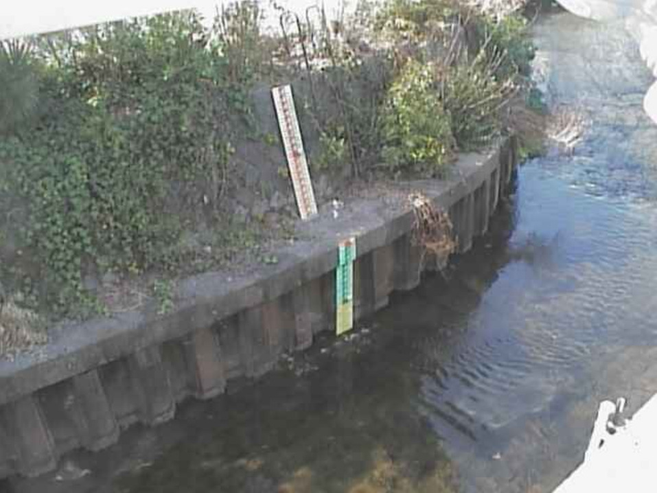 白子川子安橋ライブカメラ(東京都練馬区旭町)