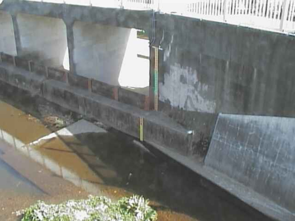 白子川三ツ橋ライブカメラ(東京都練馬区大泉町)