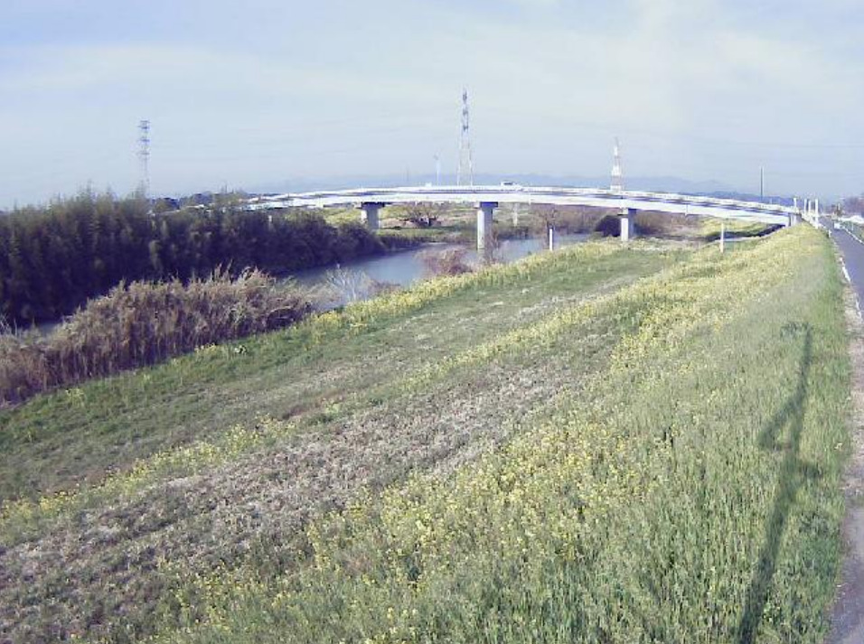 都幾川1.6KP左岸ライブカメラ(埼玉県東松山市下押垂)