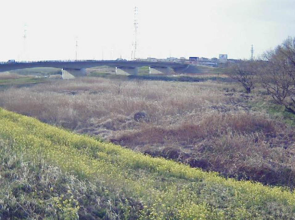 都幾川2.8KP左岸ライブカメラ(埼玉県東松山市下押垂)