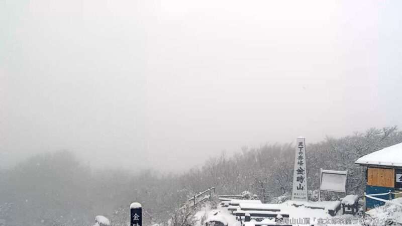 金時山山頂金太郎茶屋ライブカメラ(神奈川県南足柄市矢倉沢) 2026年3月3日 降雪