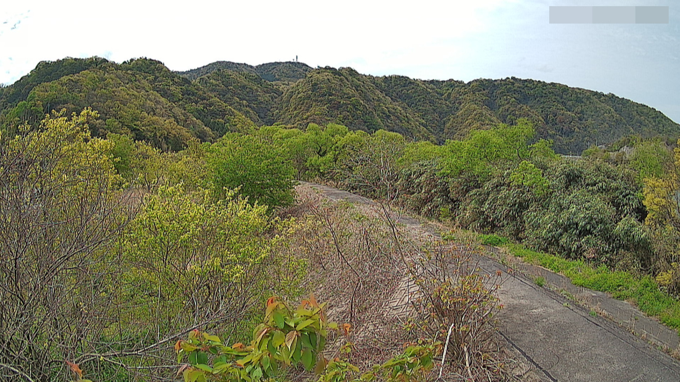 江の川4.0KP左岸ライブカメラ(島根県江津市金田町)