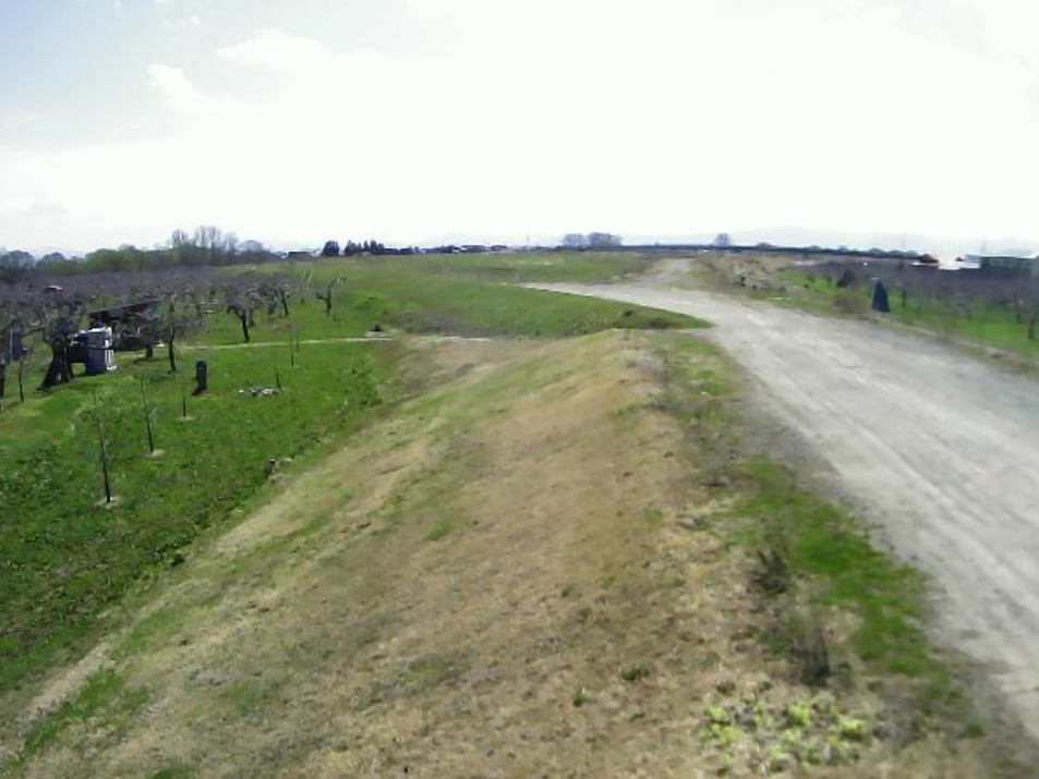 岩木川35.6KP左岸ライブカメラ(青森県鶴田町野木)