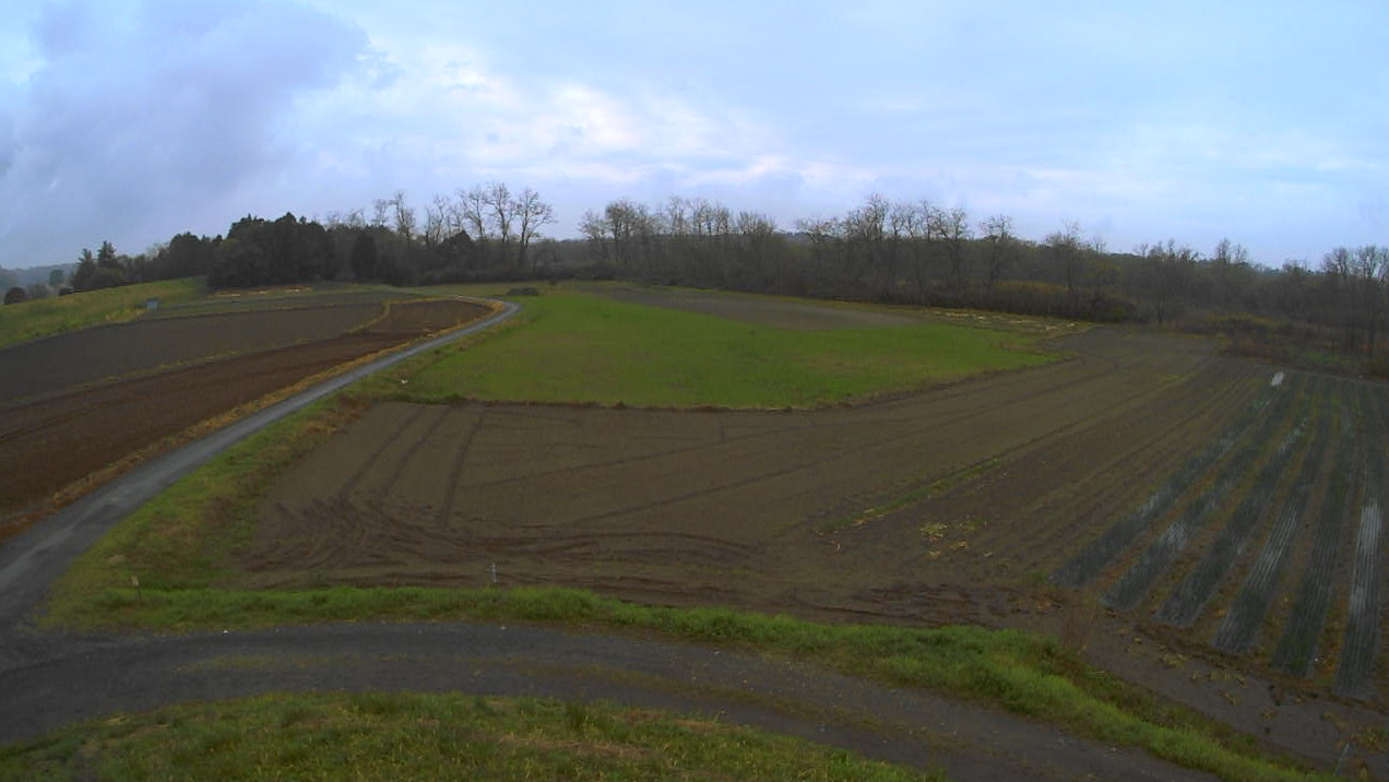 鬼怒川70.5KP左岸ライブカメラ(栃木県宇都宮市桑島町)
