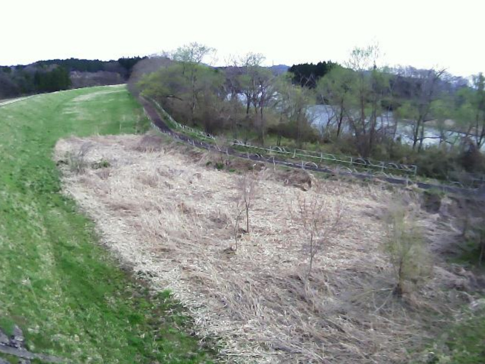 北上川上流82.6KP左岸ライブカメラ(岩手県北上市更木)