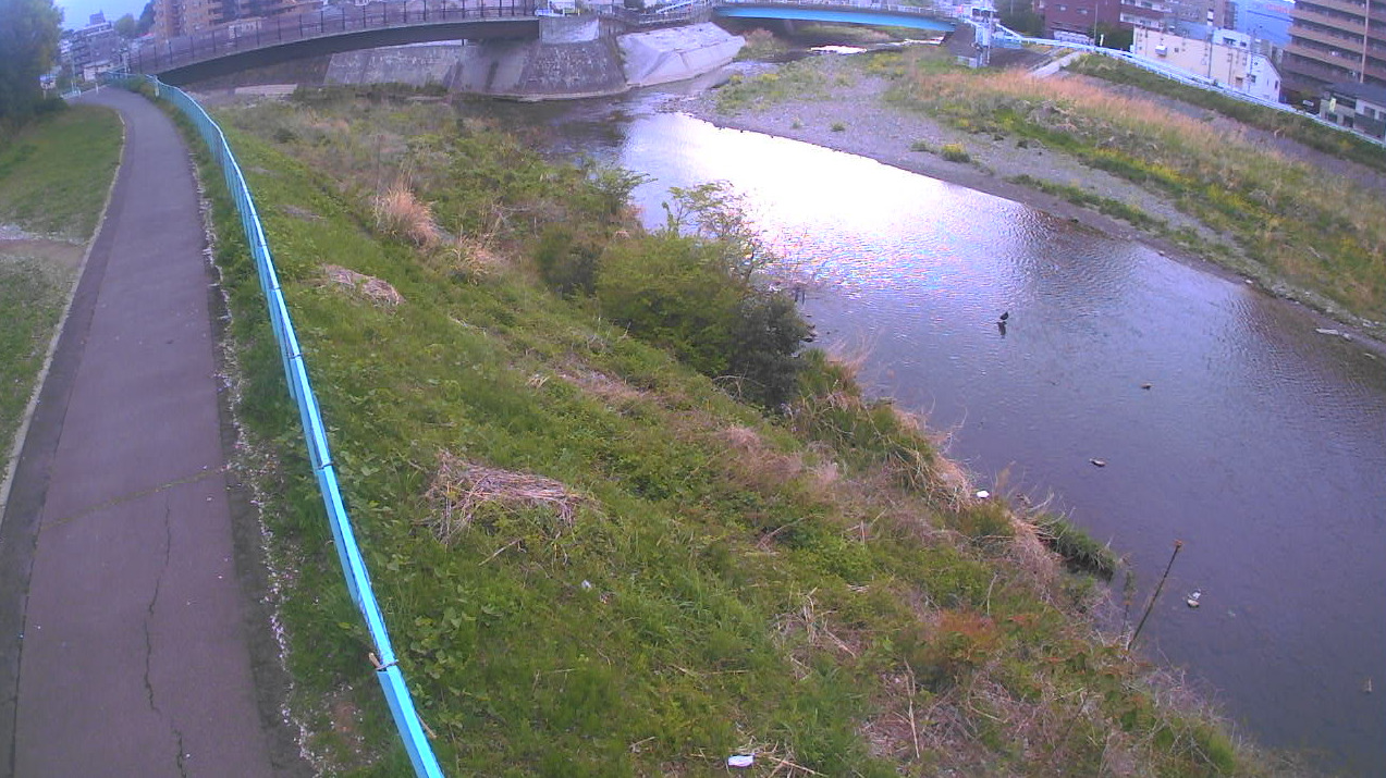 大栗川1.0KP右岸ライブカメラ(東京都多摩市連光寺)