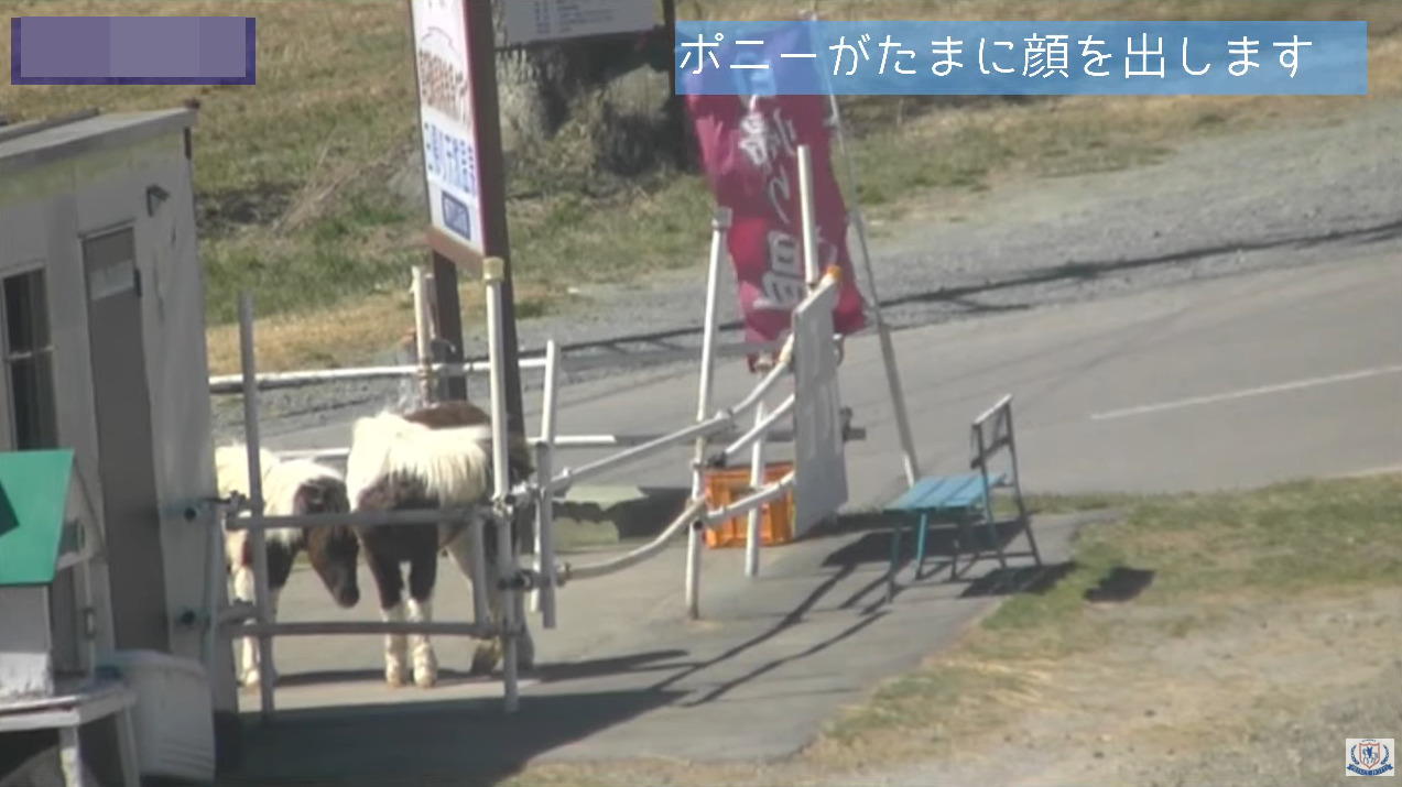 菅平プリンスホテルポニーライブカメラ(長野県上田市菅平高原)