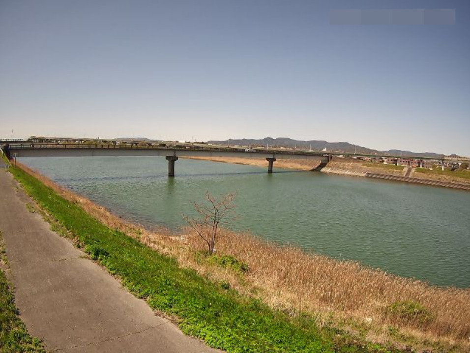 豊川放水路2.8KP左岸ライブカメラ(愛知県豊橋市下五井町)