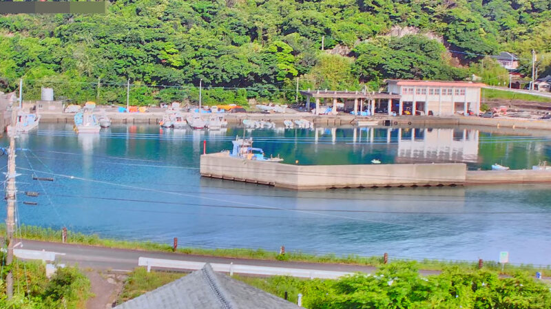 がんじん荘秋目港ライブカメラ(鹿児島県南さつま市坊津町秋目)