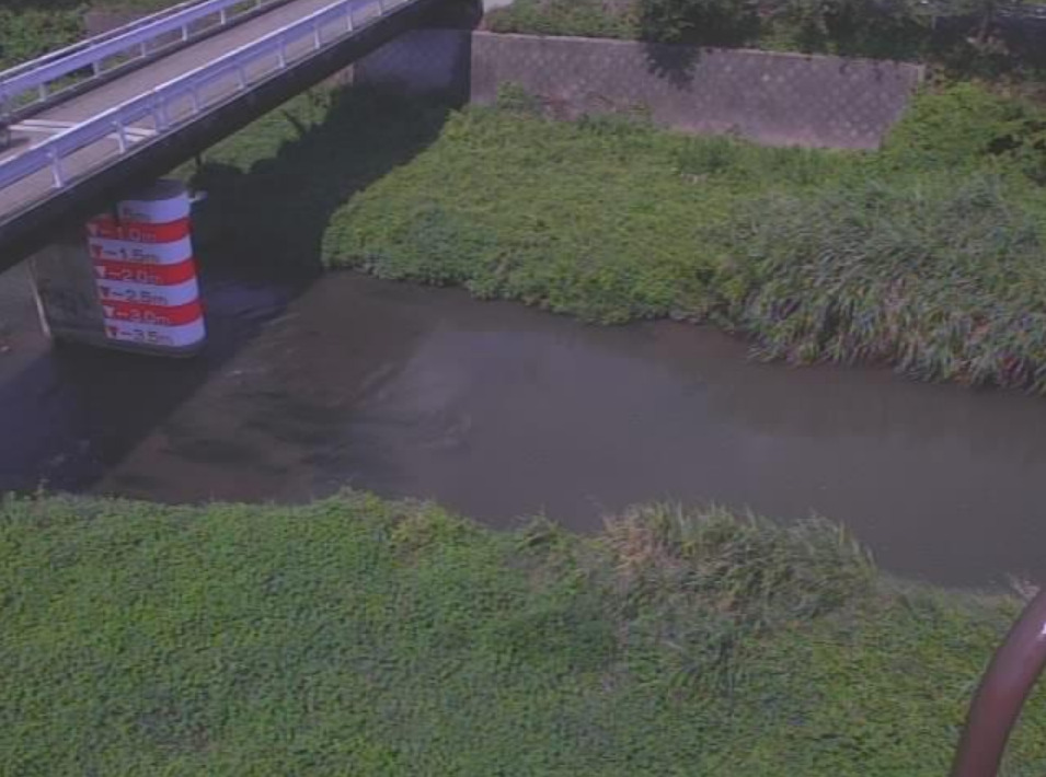 白鳥川JR下流橋ライブカメラ(滋賀県近江八幡市白鳥町)