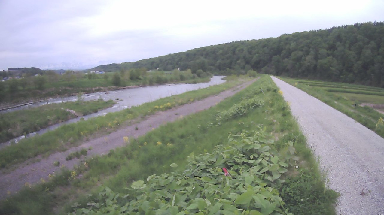 辺別川6.0KP左岸ライブカメラ(北海道美瑛町旭)