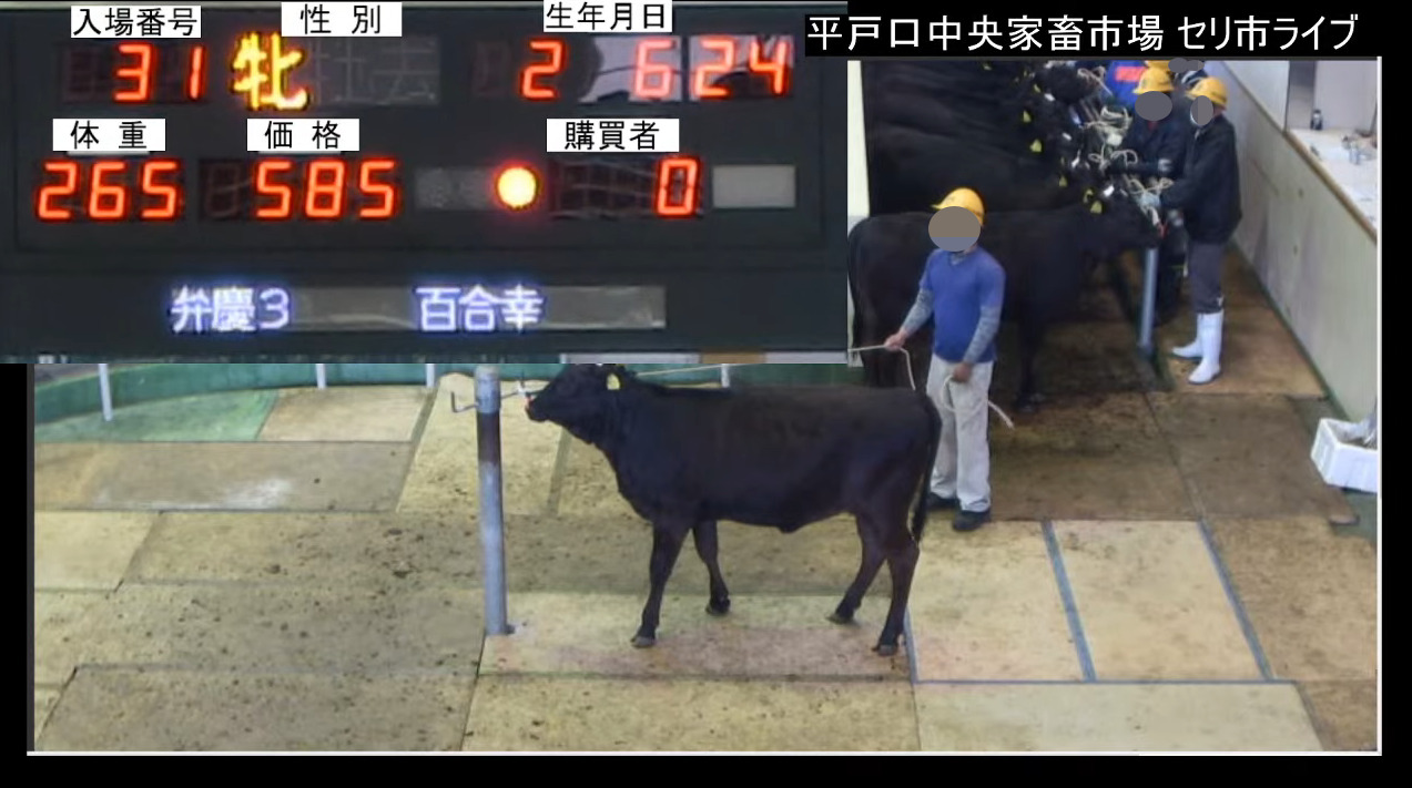 平戸口中央家畜市場セリ市ライブカメラ(長崎県平戸市田平町大久保免)