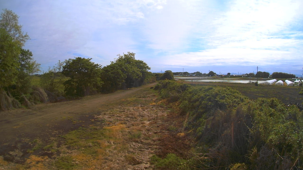 鬼怒川51.02KP左岸ライブカメラ(茨城県筑西市下江連)