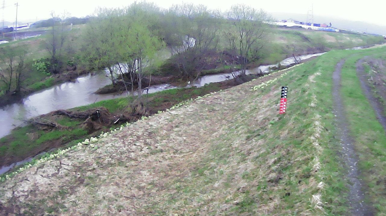 大鳳川8.6KP左岸ライブカメラ(北海道深川市深川町メム)