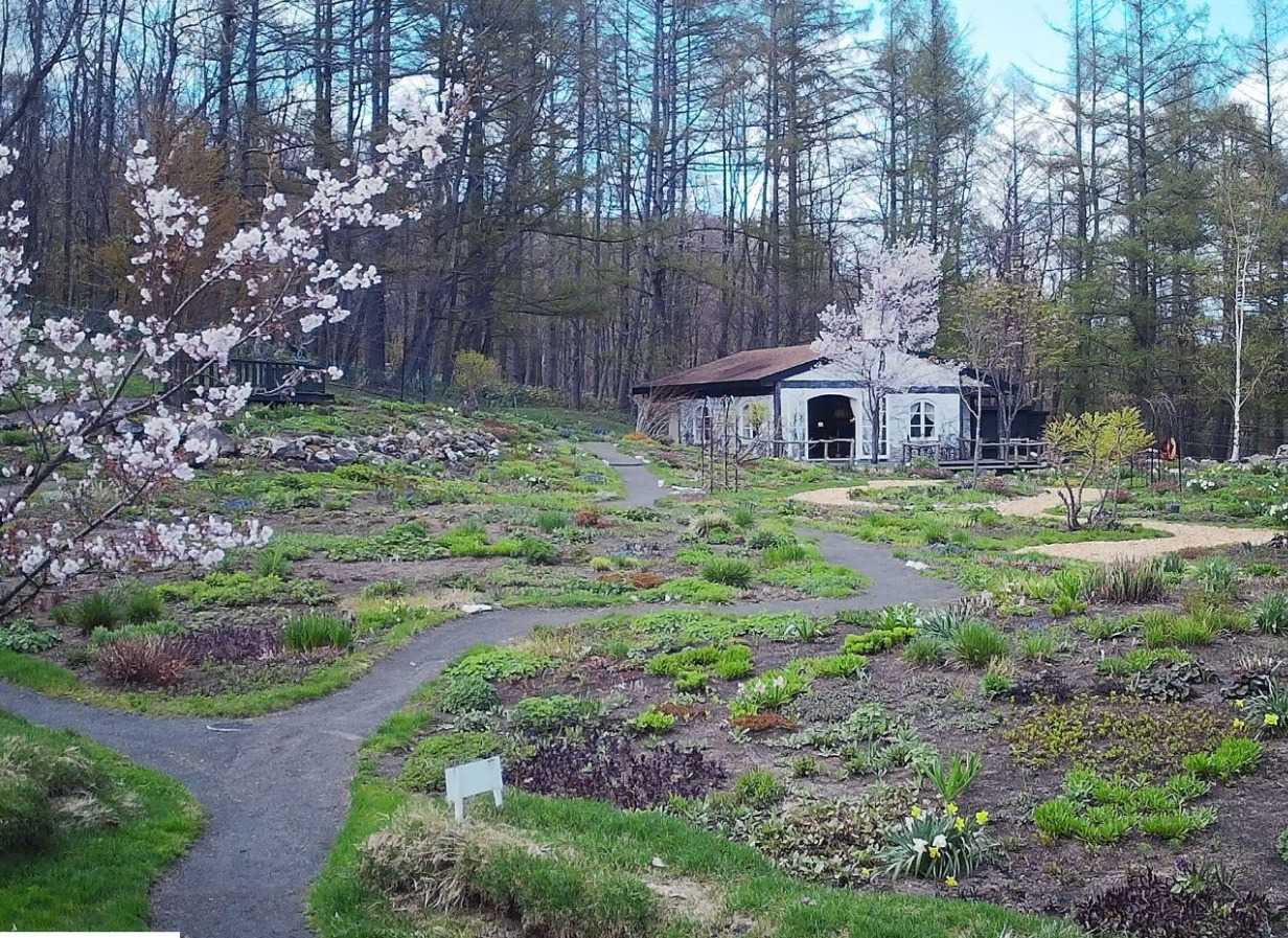 新富良野プリンスホテル風のガーデンライブカメラ(北海道富良野市下御料)