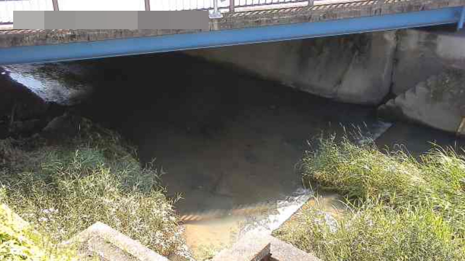 信濃川長曽橋ライブカメラ(愛知県知多市八幡)