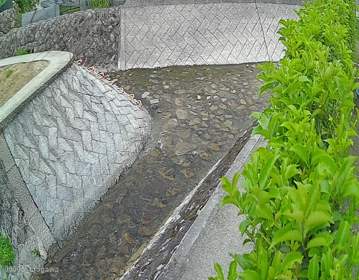 垰川山本5丁目ライブカメラ(広島県広島市安佐南区)