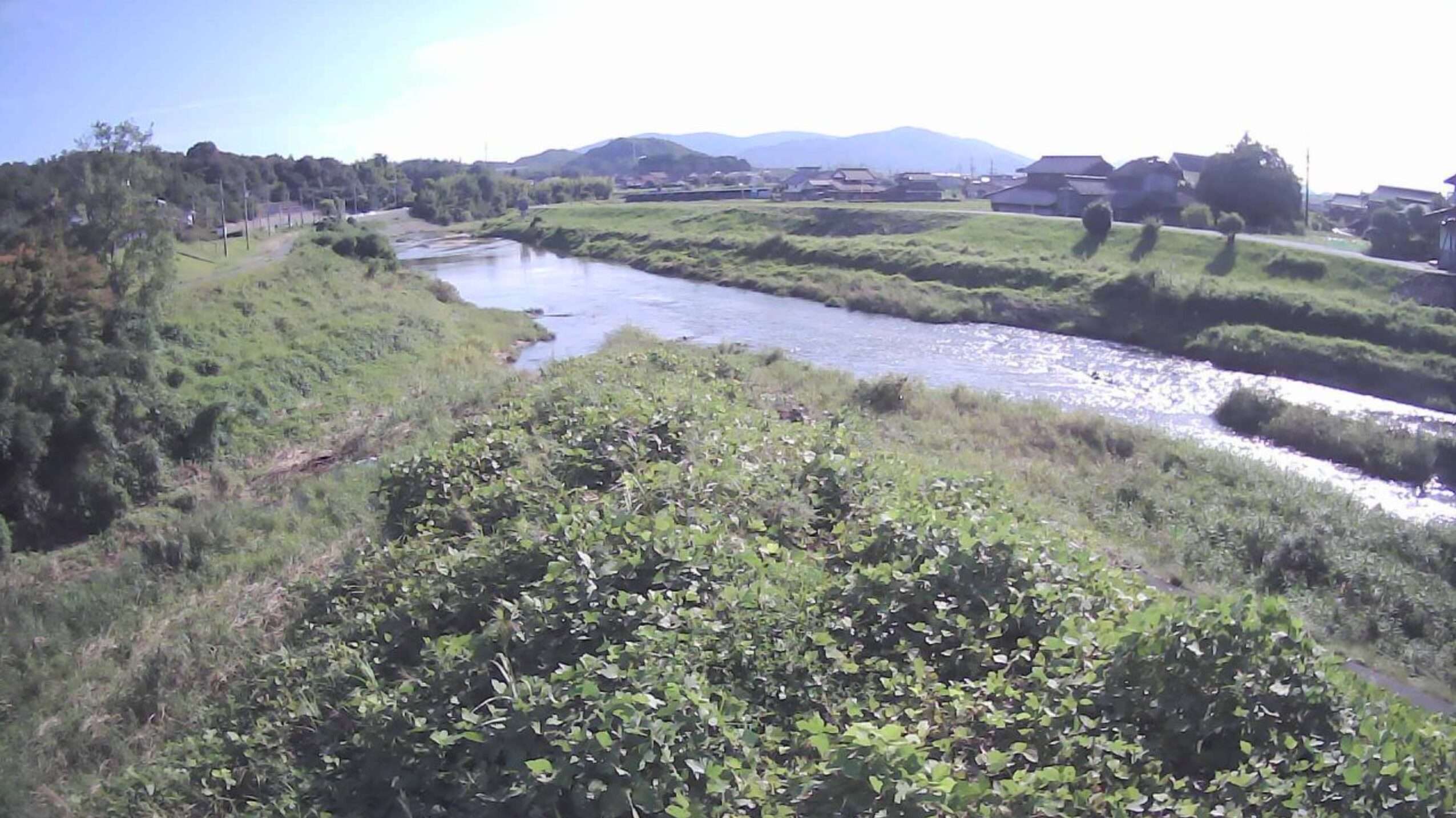 黒瀬川樋ノ詰橋前ライブカメラ(広島県東広島市西条町馬木)