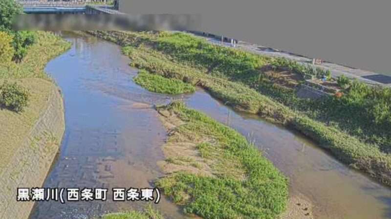 黒瀬川西条町西条東ライブカメラ(広島県東広島市西条町西条東)