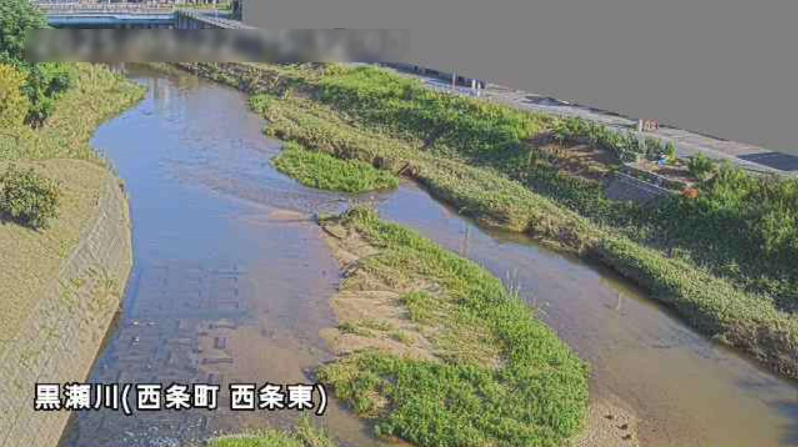 黒瀬川西条町西条東ライブカメラ(広島県東広島市西条町西条東)