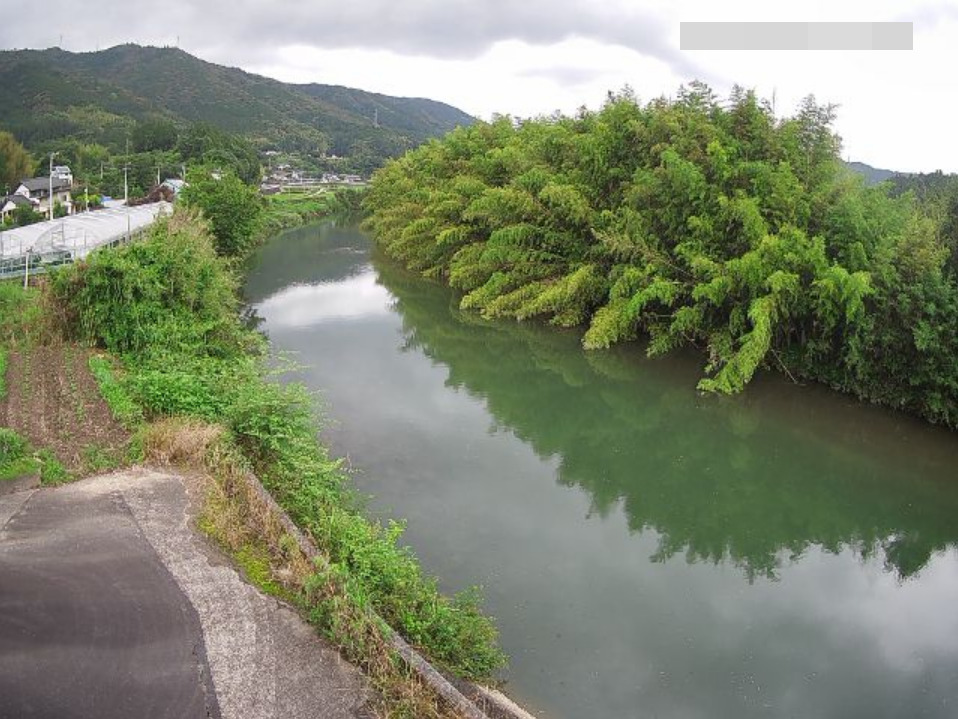 柳瀬川大田川橋ライブカメラ(高知県佐川町平野)