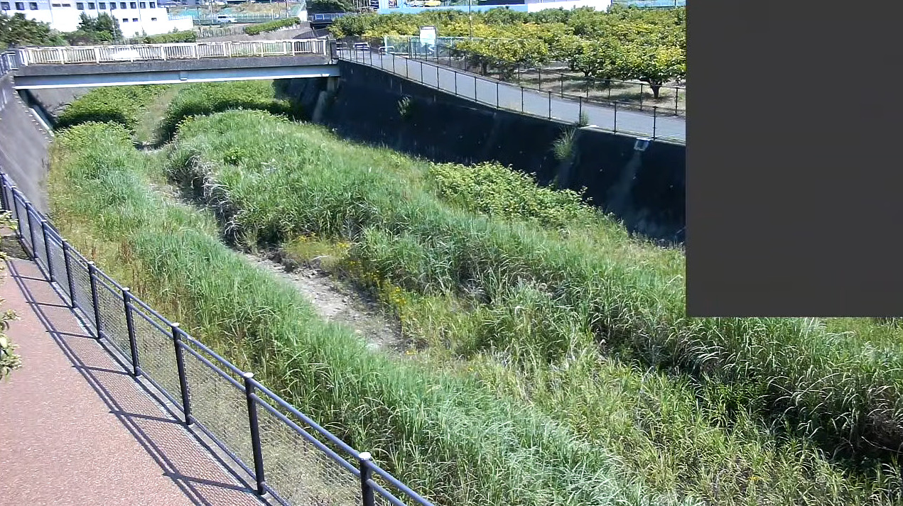 残堀川下砂橋ライブカメラ(東京都立川市上砂町)