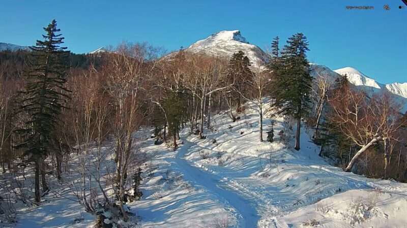 黒岳5合目山頂方向ライブカメラ(北海道上川町層雲峡) 2025年11月6日