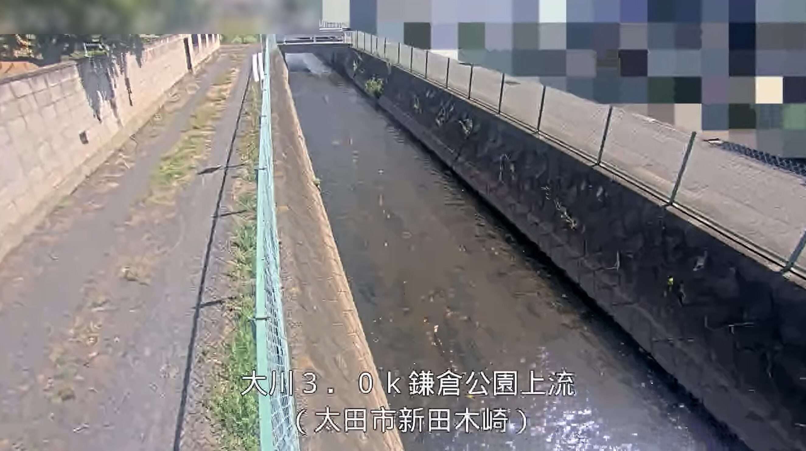 大川鎌倉公園上流ライブカメラ(群馬県太田市新田木崎町)