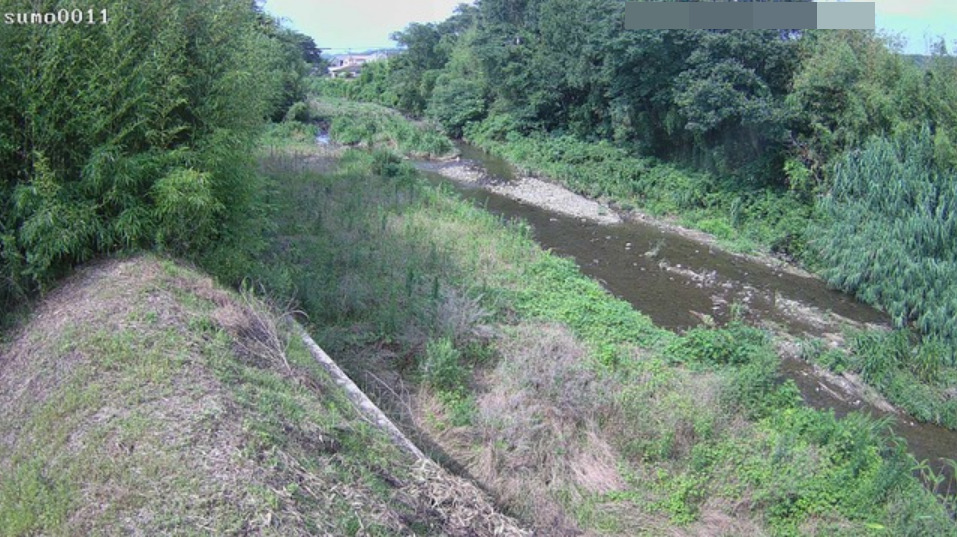 大日川賀集立川瀬ライブカメラ(兵庫県南あわじ市賀集立川瀬)
