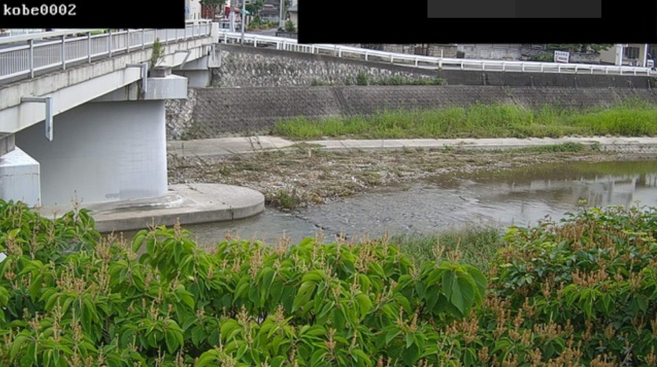 伊川上池ライブカメラ(兵庫県神戸市西区玉津町上池)